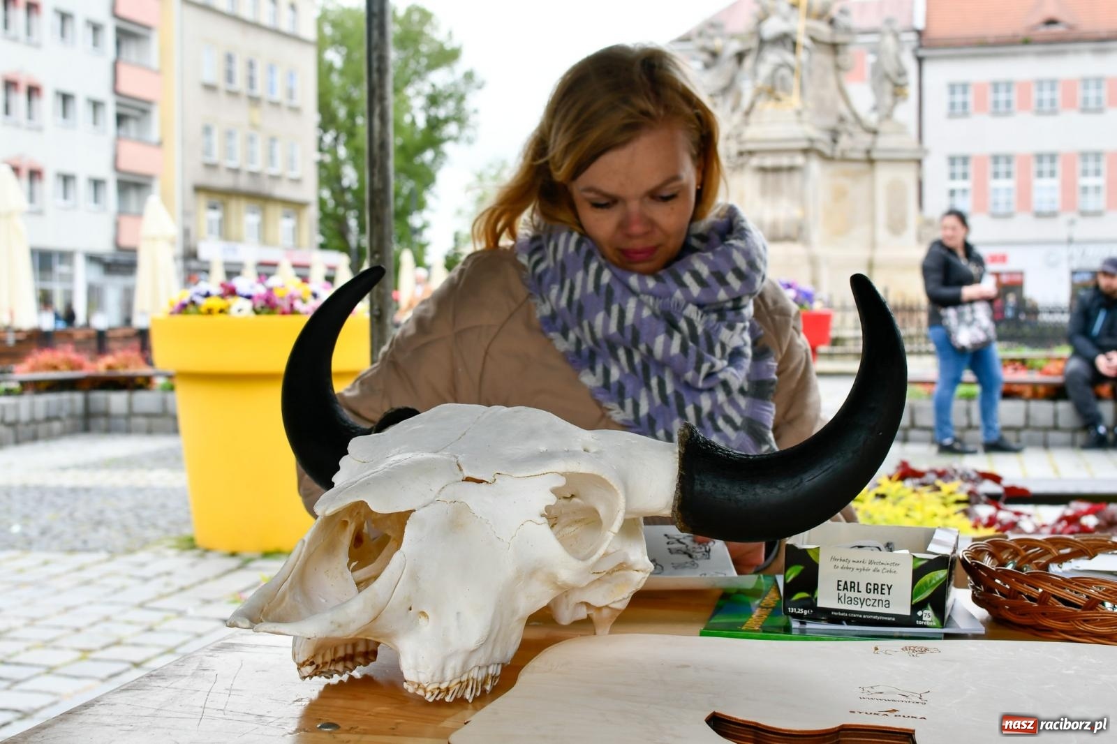 Zdjęcie w galerii na portalu naszraciborz.pl: Leśnicy zorganizowali w Raciborzu dzień z żubrem [FOTO i WIDEO] wiadomości z regionu