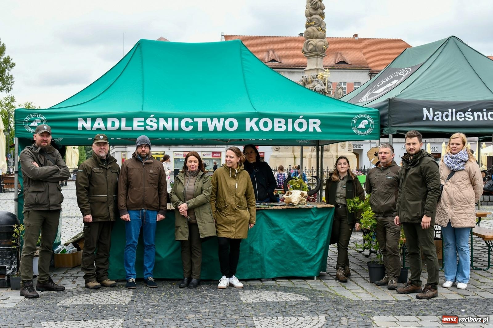 Zdjęcie w galerii na portalu naszraciborz.pl: Leśnicy zorganizowali w Raciborzu dzień z żubrem [FOTO i WIDEO] wiadomości z regionu