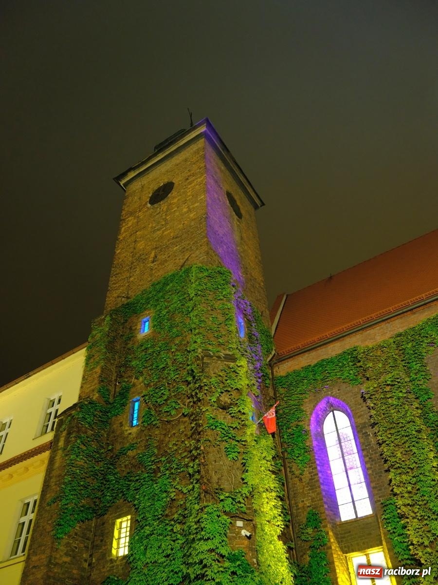 Zdjęcie w galerii na portalu naszraciborz.pl: Kleopatra, wystrzał i rozrywkowe rytmy 6na6. Noc w raciborskim Muzeum [FOTO i WIDEO] wiadomości z regionu