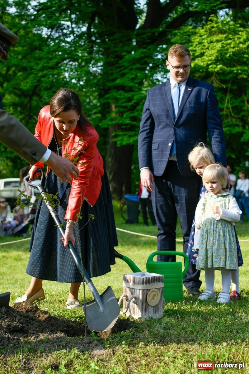 Zdjęcie w galerii na portalu naszraciborz.pl: Znaczek, dąb papieski, Krzesimir Dębski i tłum przed pałacem. Krowiarki świętują 800-lecie wiadomości z regionu
