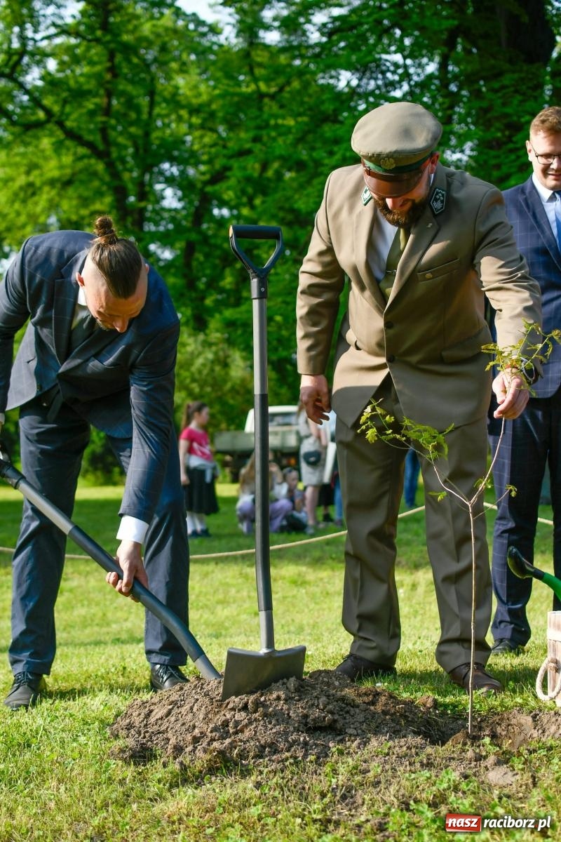 Zdjęcie w galerii na portalu naszraciborz.pl: Znaczek, dąb papieski, Krzesimir Dębski i tłum przed pałacem. Krowiarki świętują 800-lecie wiadomości z regionu