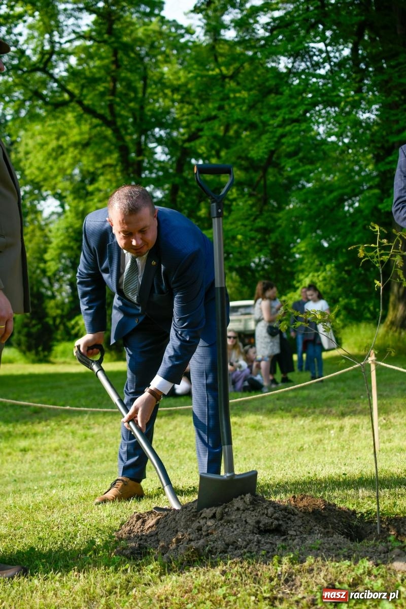 Zdjęcie w galerii na portalu naszraciborz.pl: Znaczek, dąb papieski, Krzesimir Dębski i tłum przed pałacem. Krowiarki świętują 800-lecie wiadomości z regionu