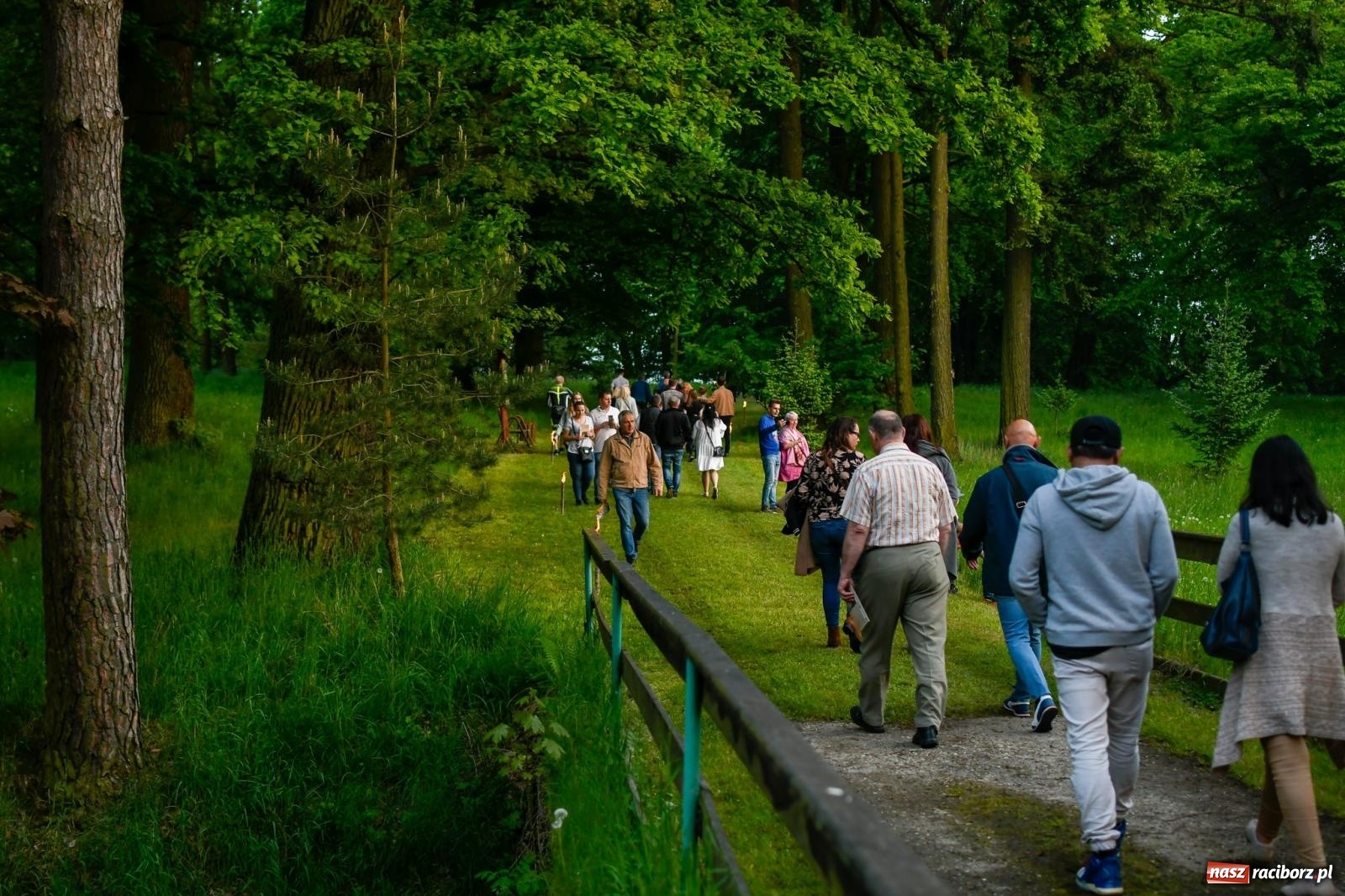 Zdjęcie w galerii na portalu naszraciborz.pl: Znaczek, dąb papieski, Krzesimir Dębski i tłum przed pałacem. Krowiarki świętują 800-lecie wiadomości z regionu
