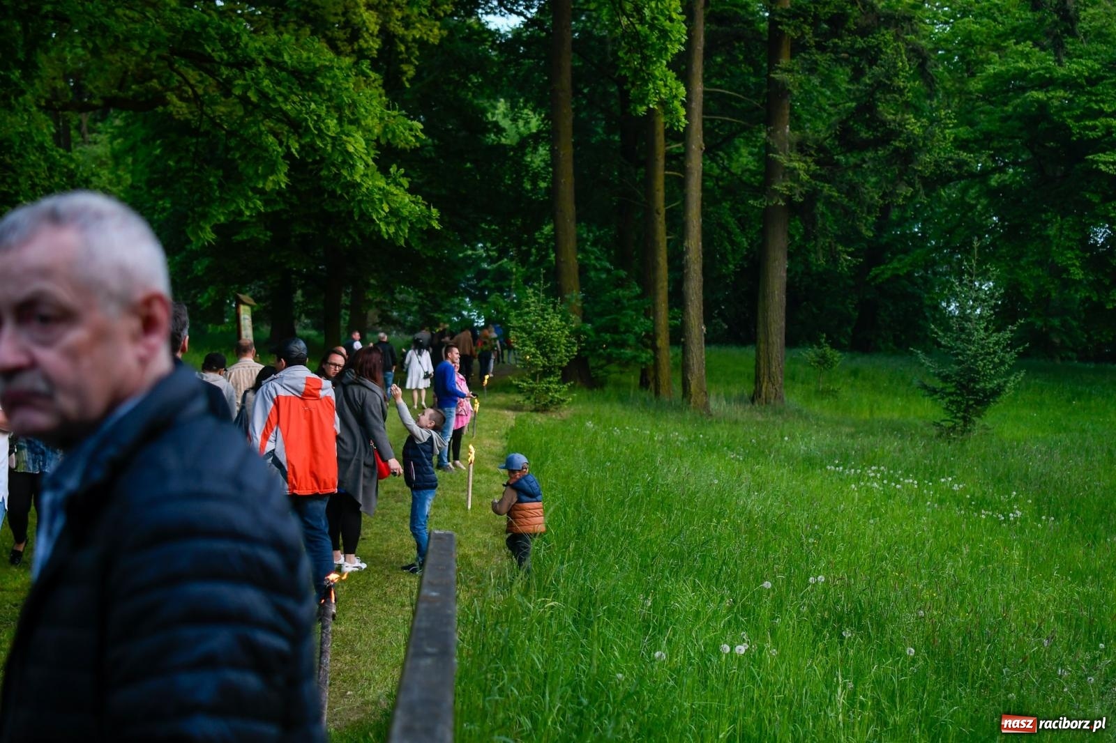 Zdjęcie w galerii na portalu naszraciborz.pl: Znaczek, dąb papieski, Krzesimir Dębski i tłum przed pałacem. Krowiarki świętują 800-lecie wiadomości z regionu