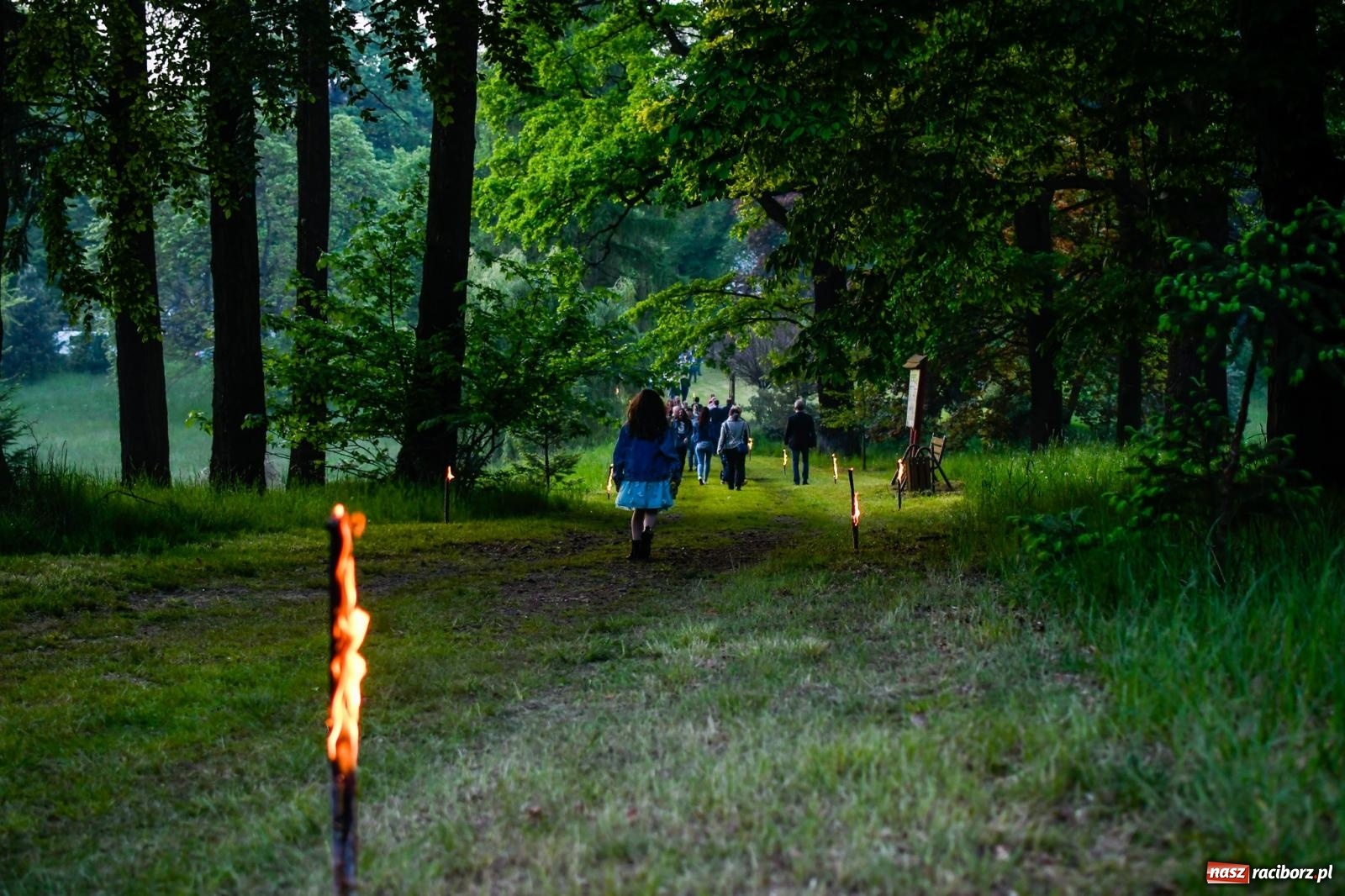 Zdjęcie w galerii na portalu naszraciborz.pl: Znaczek, dąb papieski, Krzesimir Dębski i tłum przed pałacem. Krowiarki świętują 800-lecie wiadomości z regionu