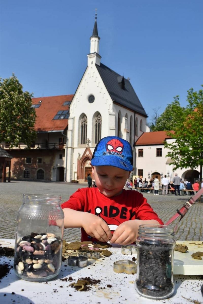 Zdjęcie w galerii na portalu naszraciborz.pl: Aktywne sobotnie popołudnie na Zamku Piastowskim wiadomości z regionu