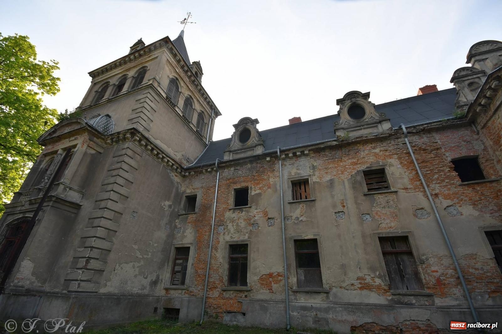 Zdjęcie w galerii na portalu naszraciborz.pl: Krzesimir Dębski - koncert przed pałacem w Krowiarkach wiadomości z regionu
