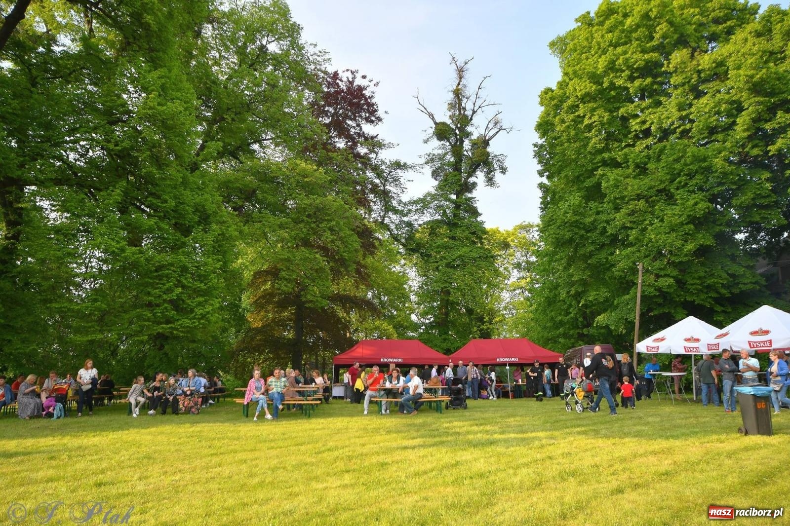 Zdjęcie w galerii na portalu naszraciborz.pl: Krzesimir Dębski - koncert przed pałacem w Krowiarkach wiadomości z regionu