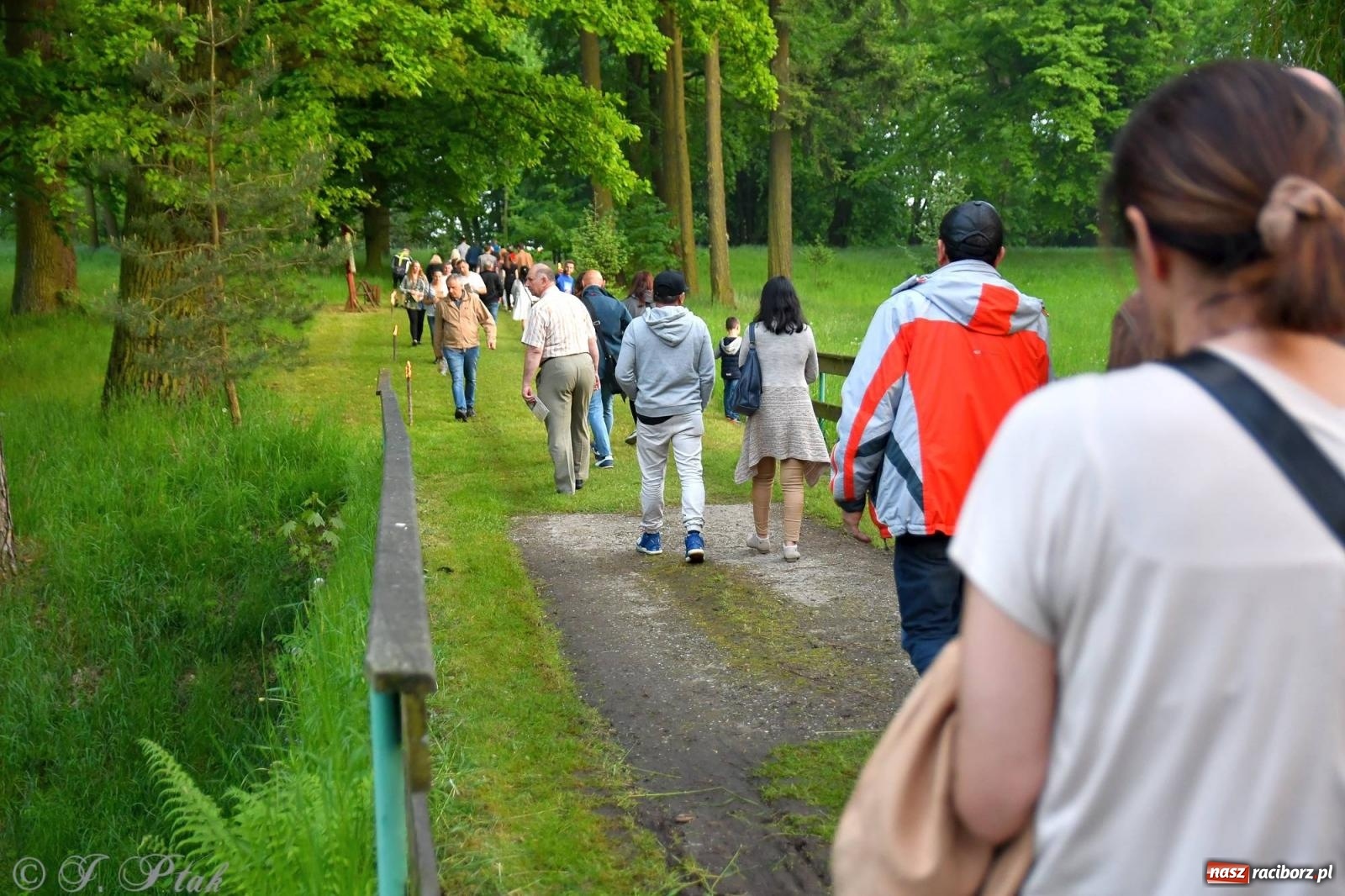 Zdjęcie w galerii na portalu naszraciborz.pl: Krzesimir Dębski - koncert przed pałacem w Krowiarkach wiadomości z regionu