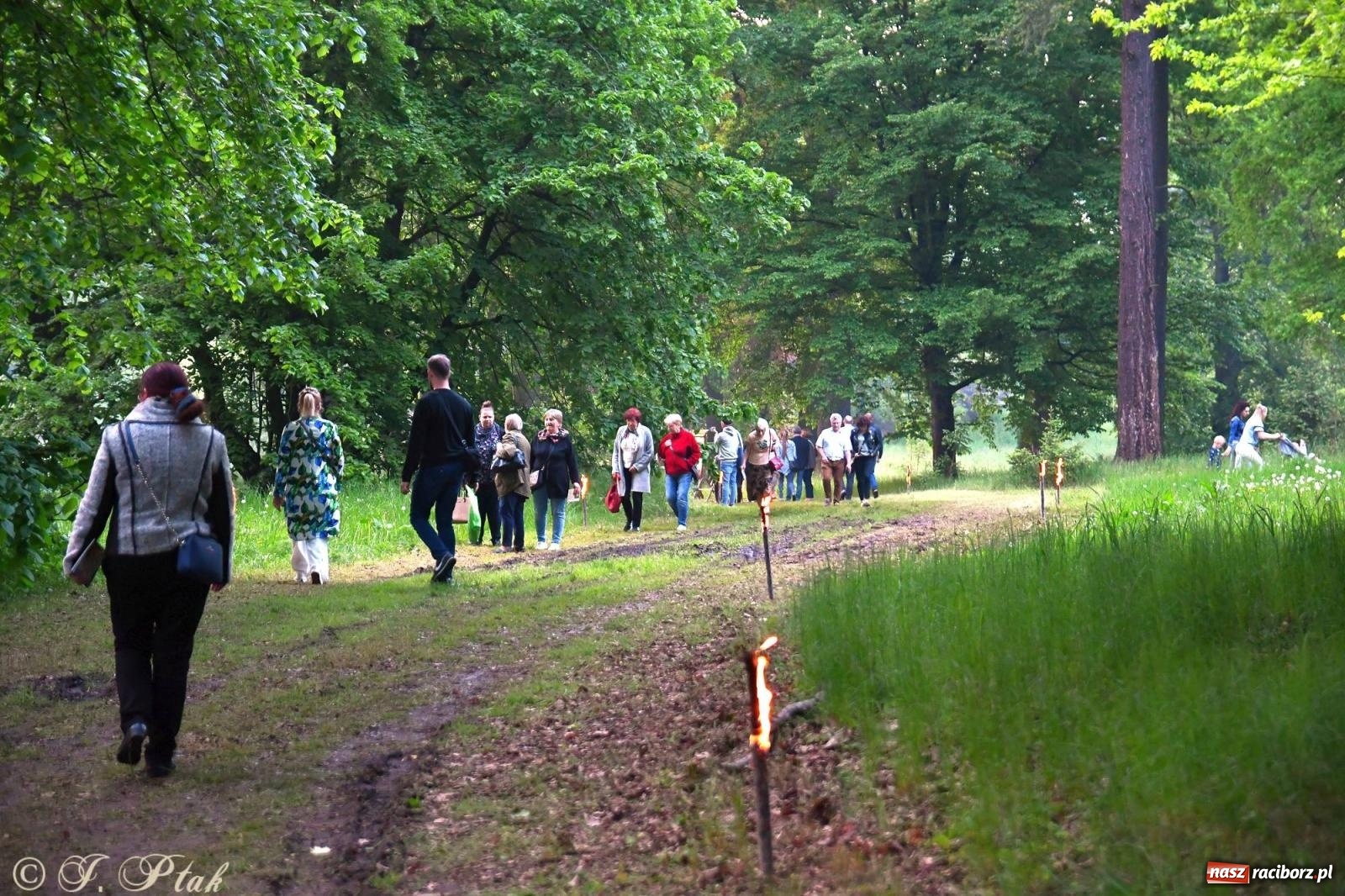 Zdjęcie w galerii na portalu naszraciborz.pl: Krzesimir Dębski - koncert przed pałacem w Krowiarkach wiadomości z regionu