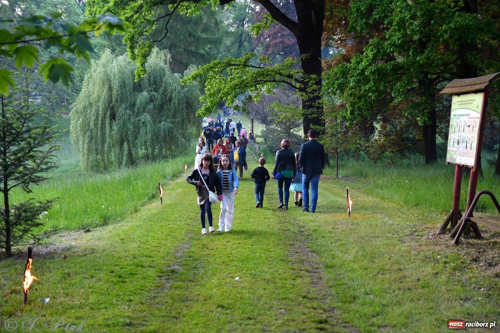 Zdjęcie w galerii na portalu naszraciborz.pl: Krzesimir Dębski - koncert przed pałacem w Krowiarkach wiadomości z regionu