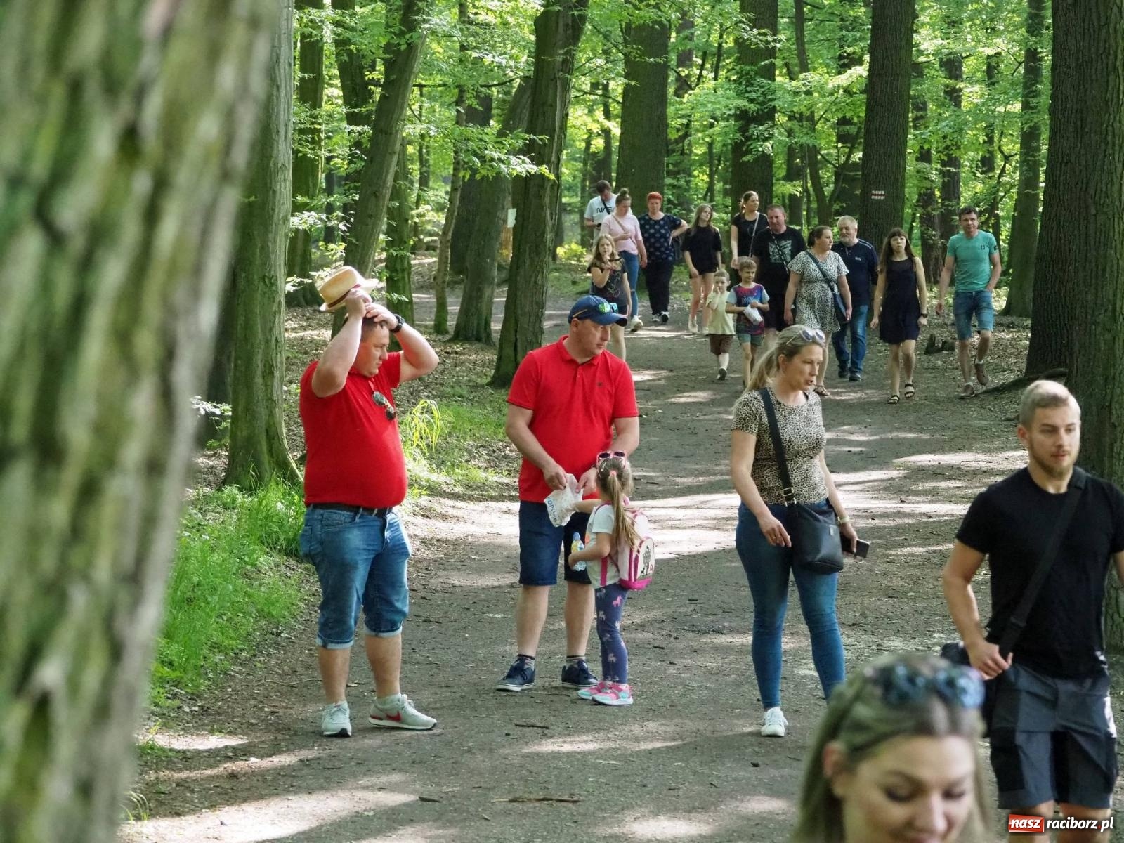 Zdjęcie w galerii na portalu naszraciborz.pl: Gitarowe dźwięki wypełniły Zaczarowany Ogród wiadomości z regionu