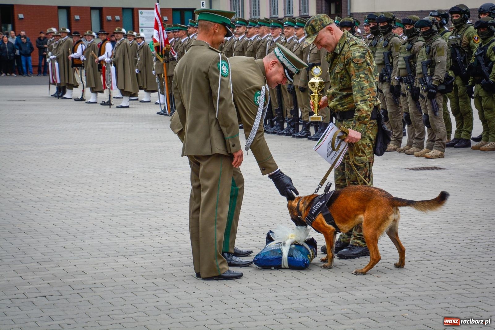 Zdjęcie w galerii na portalu naszraciborz.pl: Podhalańczycy, musztra, strzały i awanse. Śląska Straż Graniczna świętuje [FOTO i WIDEO] wiadomości z regionu