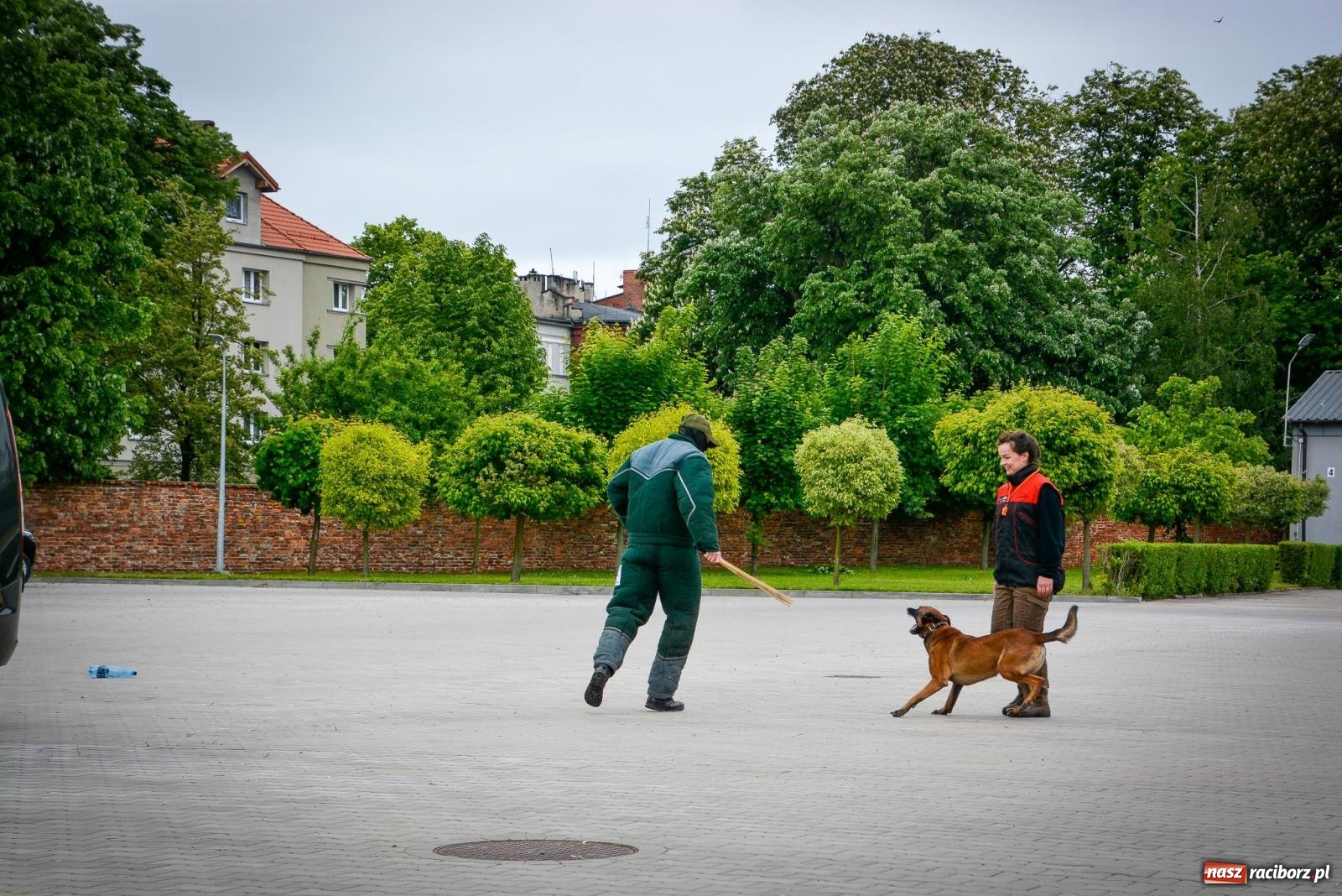 Zdjęcie w galerii na portalu naszraciborz.pl: Podhalańczycy, musztra, strzały i awanse. Śląska Straż Graniczna świętuje [FOTO i WIDEO] wiadomości z regionu