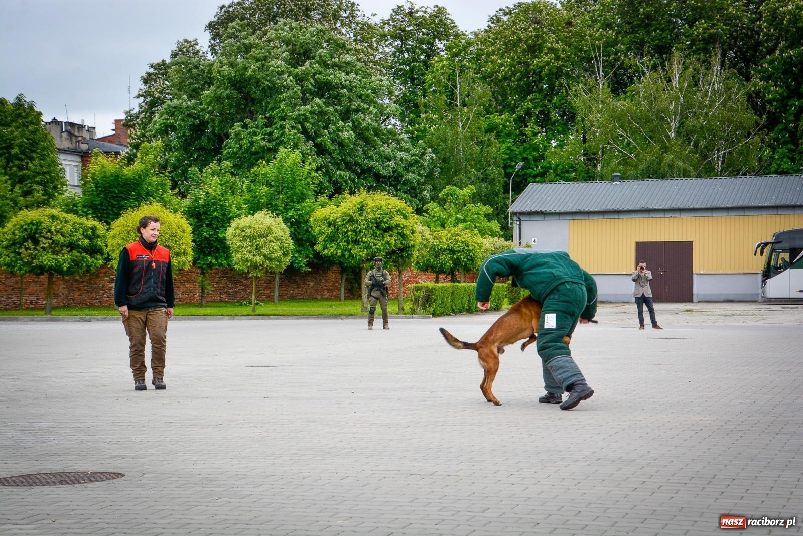 Zdjęcie w galerii na portalu naszraciborz.pl: Podhalańczycy, musztra, strzały i awanse. Śląska Straż Graniczna świętuje [FOTO i WIDEO] wiadomości z regionu