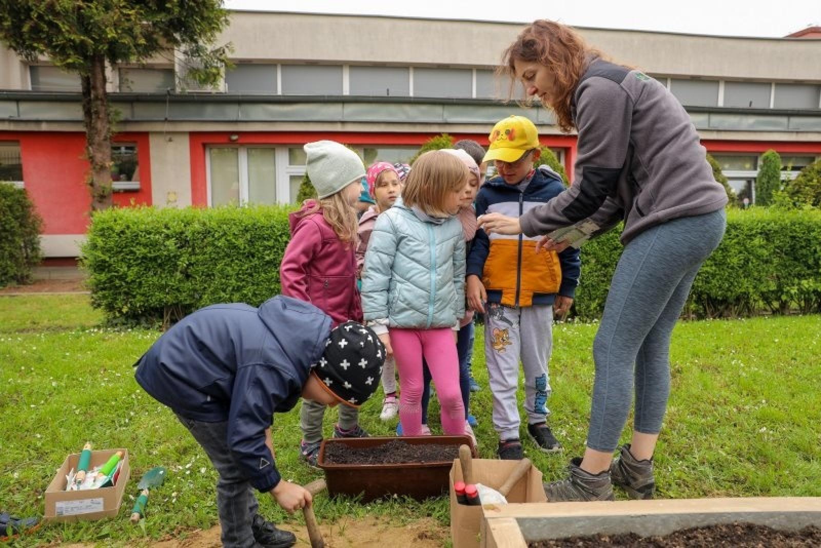Zdjęcie w galerii na portalu naszraciborz.pl: Raciborskie przedszkolaki zakładają małe warzywniki wiadomości z regionu