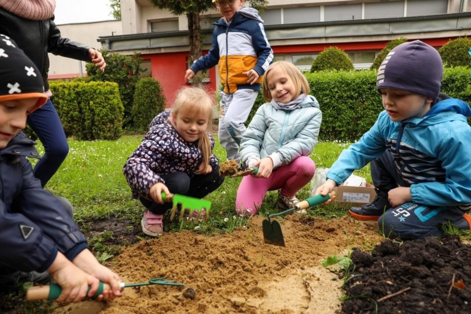 Zdjęcie w galerii na portalu naszraciborz.pl: Raciborskie przedszkolaki zakładają małe warzywniki wiadomości z regionu
