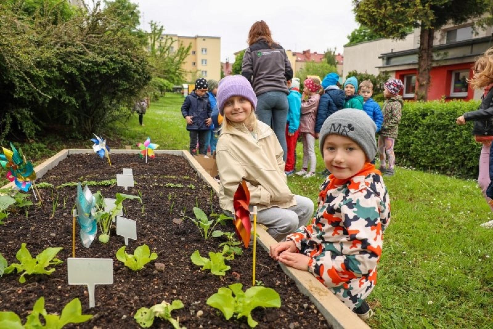 Zdjęcie w galerii na portalu naszraciborz.pl: Raciborskie przedszkolaki zakładają małe warzywniki wiadomości z regionu