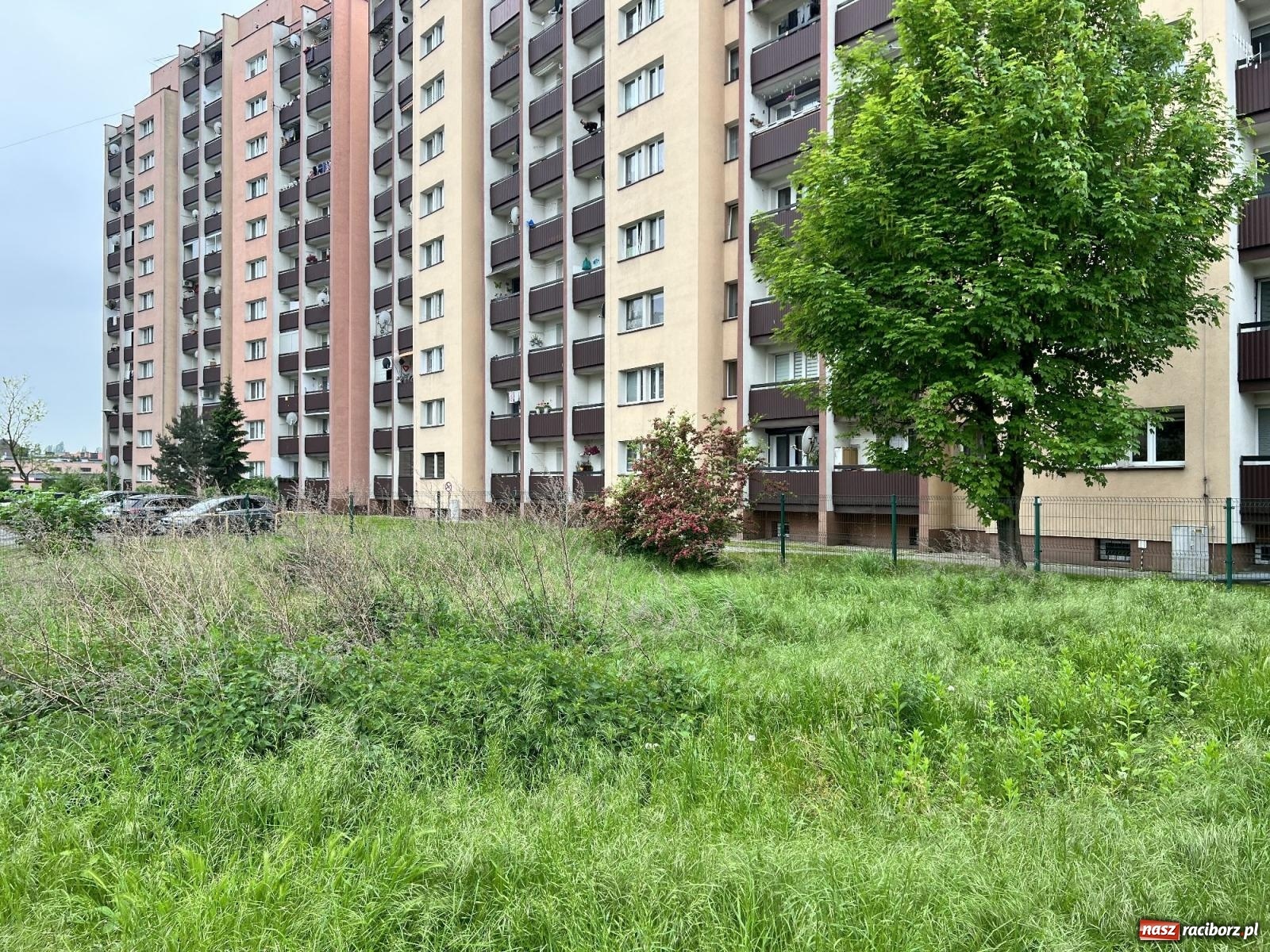 Zdjęcie w galerii na portalu naszraciborz.pl: Pożar w mieszkaniu na Polnej. Wezwano śmigłowiec LPR [FOTO i WIDEO] wiadomości z regionu