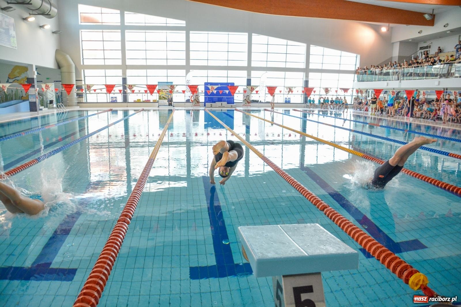 Zdjęcie w galerii na portalu naszraciborz.pl: Zosia Paul i Mikołaj Miczek najlepsi podczas zawodów Umiem Pływać [FOTO i WIDEO] wiadomości z regionu