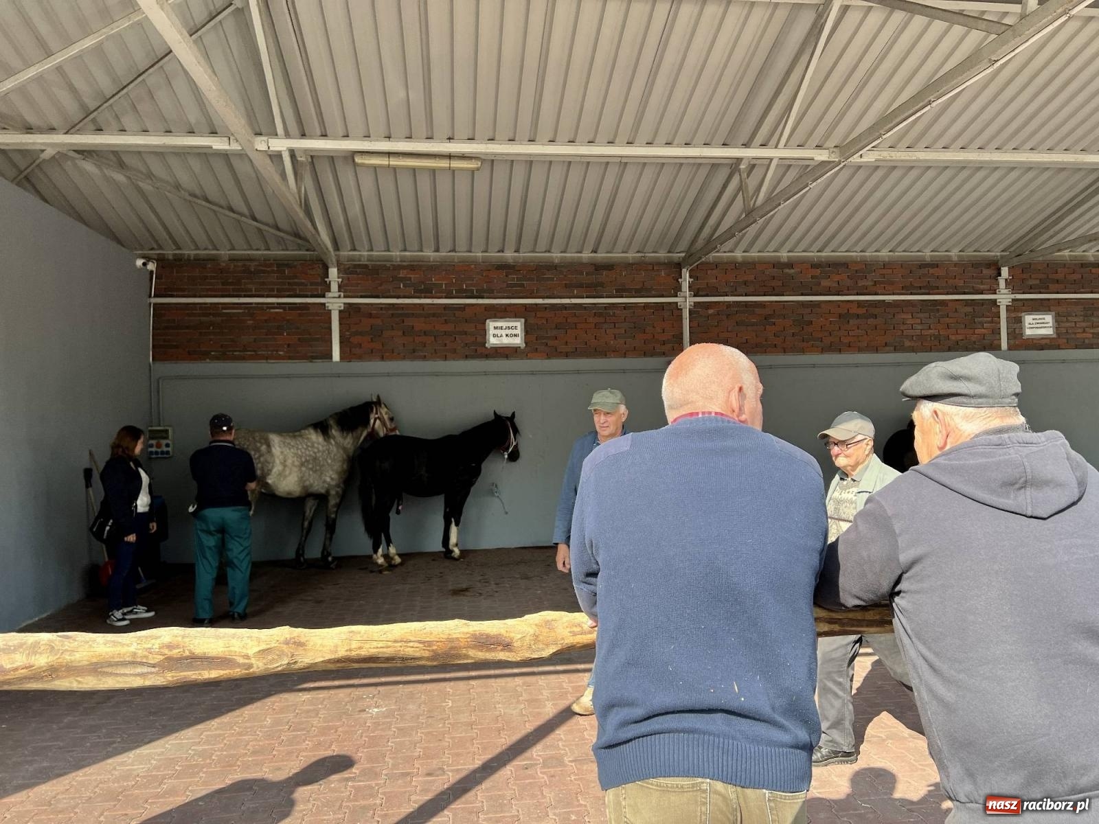 Zdjęcie w galerii na portalu naszraciborz.pl: Róg bawoli i tryptyk. Ciekawostki z targu staroci w Pietrowicach Wielkich wiadomości z regionu