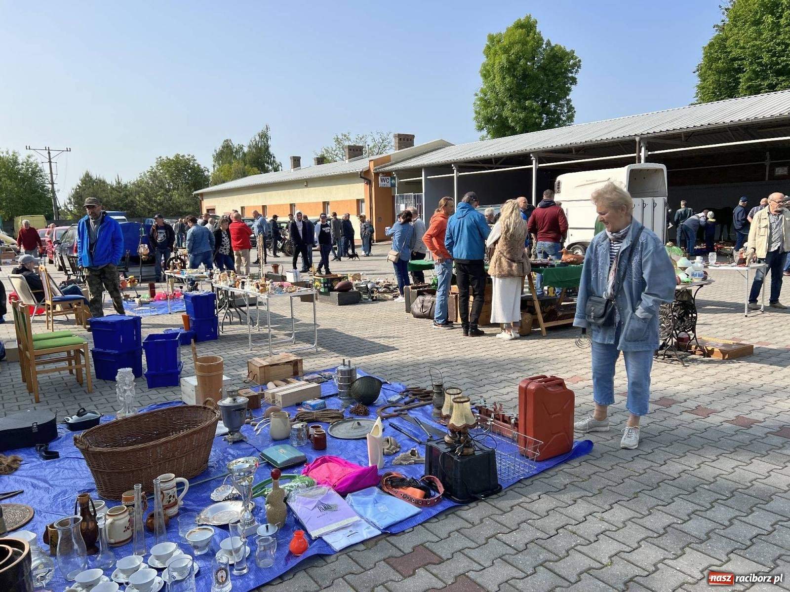 Zdjęcie w galerii na portalu naszraciborz.pl: Róg bawoli i tryptyk. Ciekawostki z targu staroci w Pietrowicach Wielkich wiadomości z regionu
