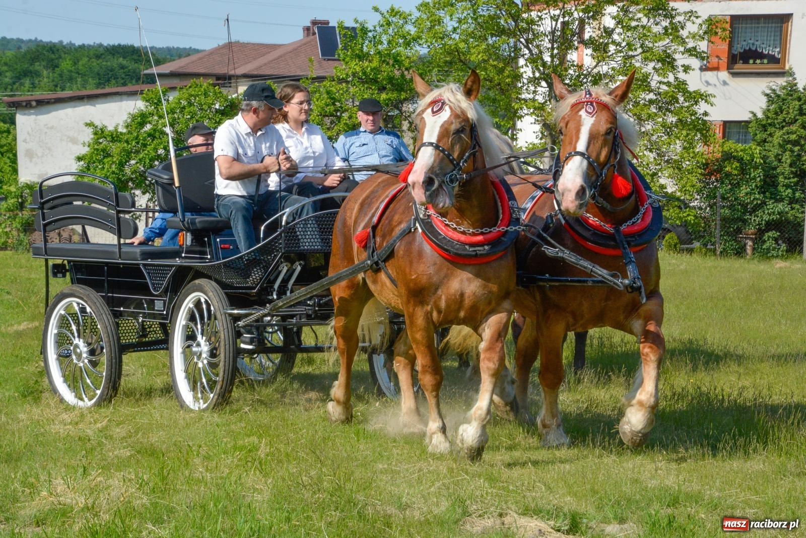 Zdjęcie w galerii na portalu naszraciborz.pl: Przez pola bryczką i wierzchem. Procesja na św. Urbana w Kobyli [FOTO i WIDEO] wiadomości z regionu