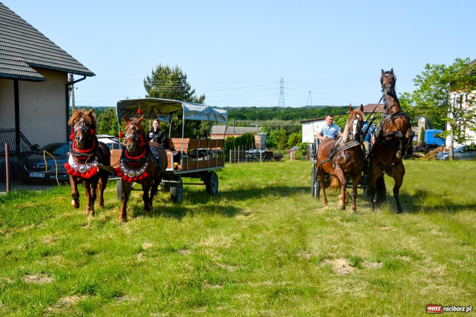 Zdjęcie w galerii na portalu naszraciborz.pl: Przez pola bryczką i wierzchem. Procesja na św. Urbana w Kobyli [FOTO i WIDEO] wiadomości z regionu