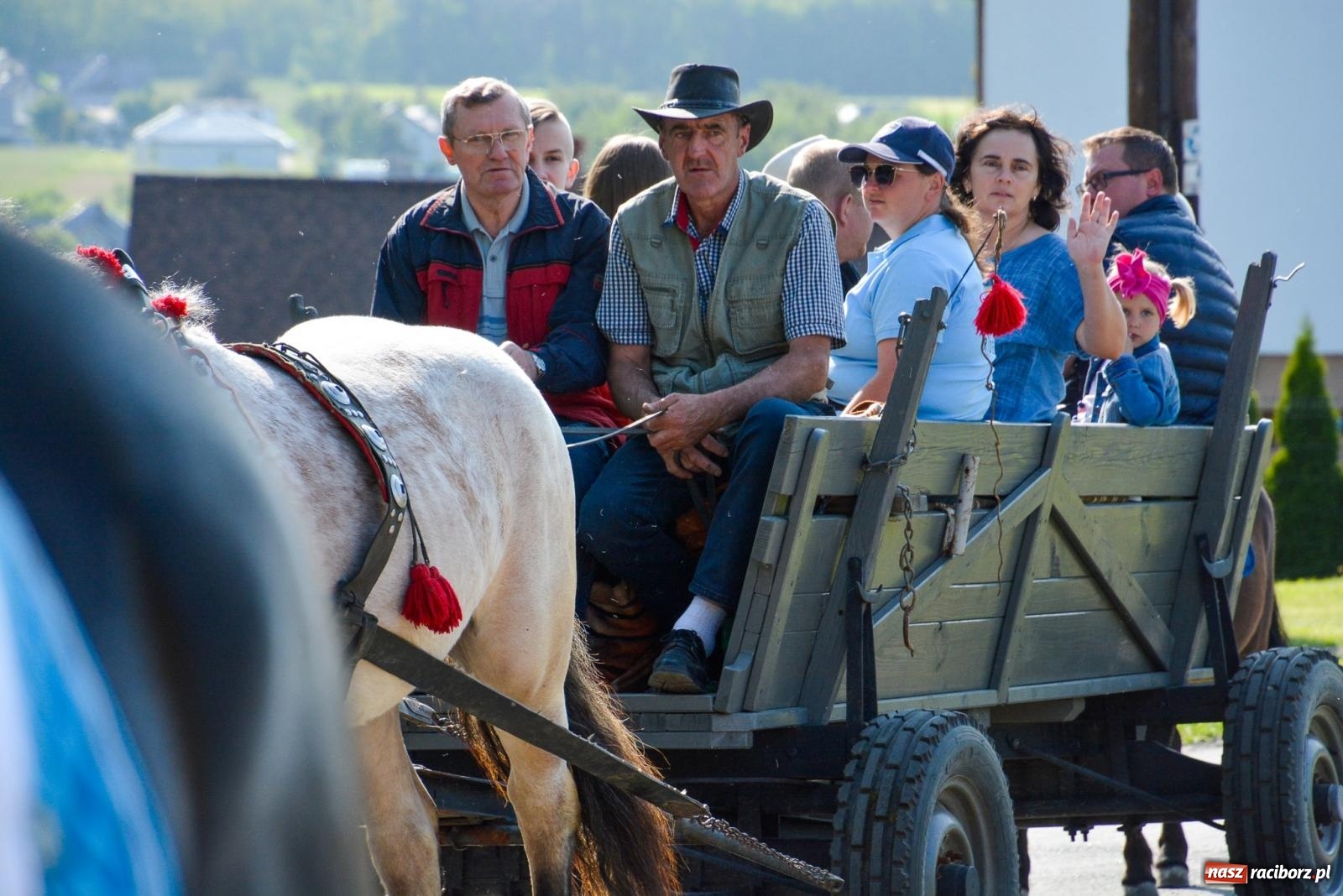 Zdjęcie w galerii na portalu naszraciborz.pl: Przez pola bryczką i wierzchem. Procesja na św. Urbana w Kobyli [FOTO i WIDEO] wiadomości z regionu