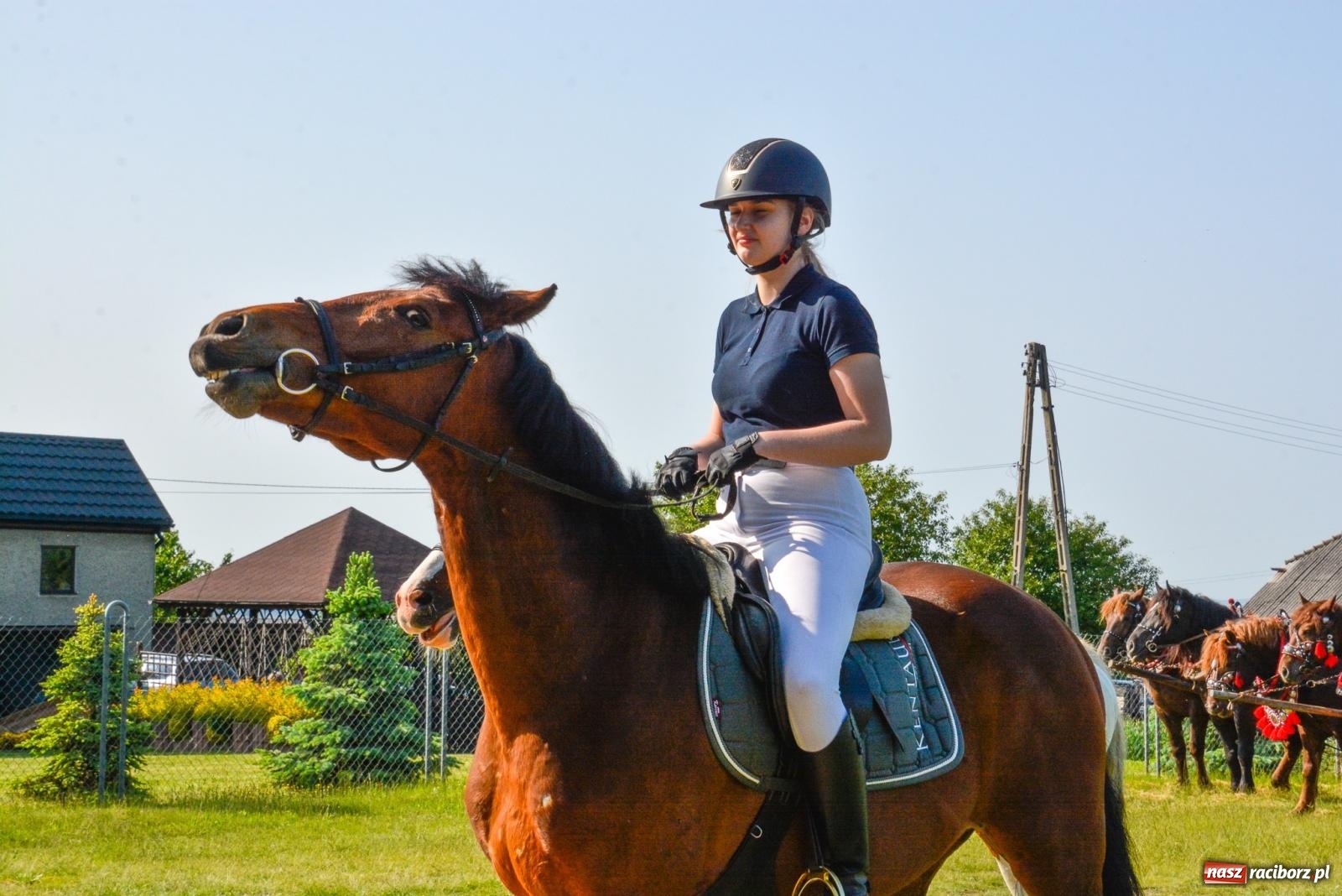 Zdjęcie w galerii na portalu naszraciborz.pl: Przez pola bryczką i wierzchem. Procesja na św. Urbana w Kobyli [FOTO i WIDEO] wiadomości z regionu