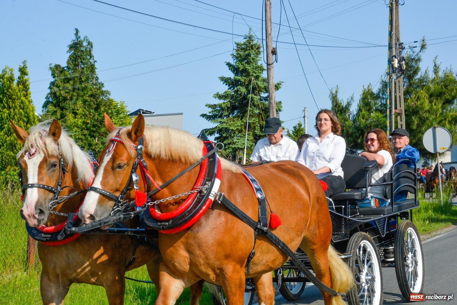 Zdjęcie w galerii na portalu naszraciborz.pl: Przez pola bryczką i wierzchem. Procesja na św. Urbana w Kobyli [FOTO i WIDEO] wiadomości z regionu