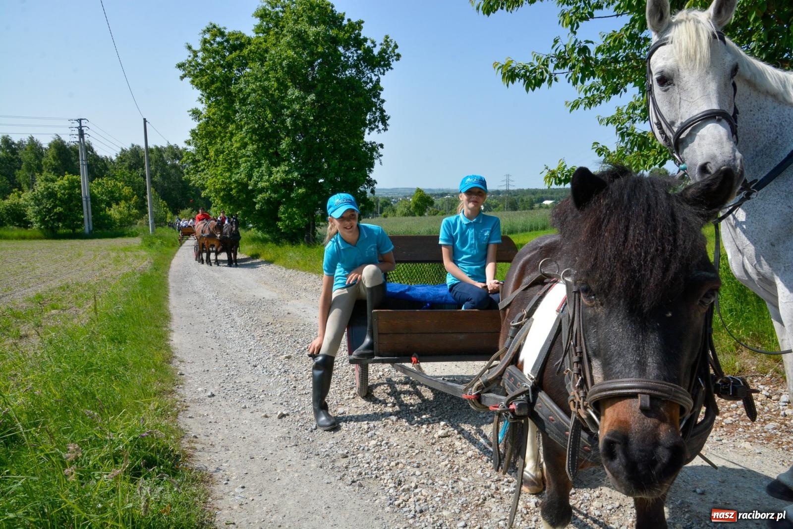 Zdjęcie w galerii na portalu naszraciborz.pl: Brzeska procesja w intencji rolników i ogrodników [FOTO i WIDEO] wiadomości z regionu