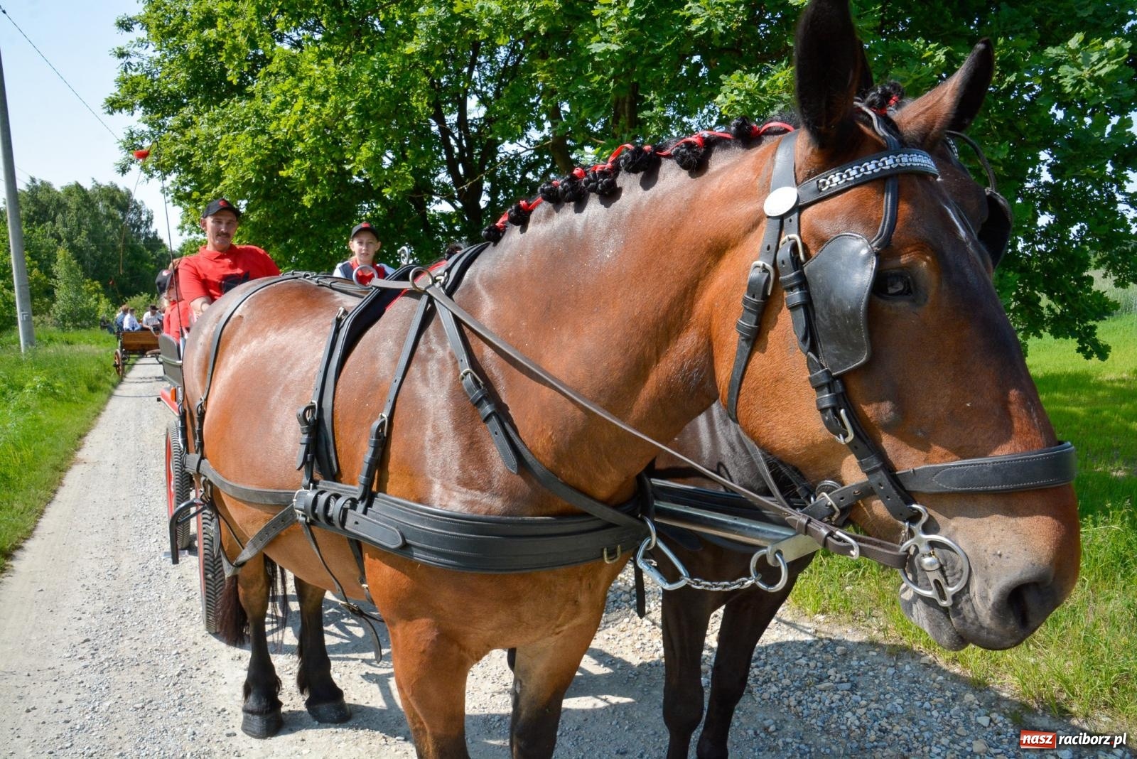 Zdjęcie w galerii na portalu naszraciborz.pl: Brzeska procesja w intencji rolników i ogrodników [FOTO i WIDEO] wiadomości z regionu