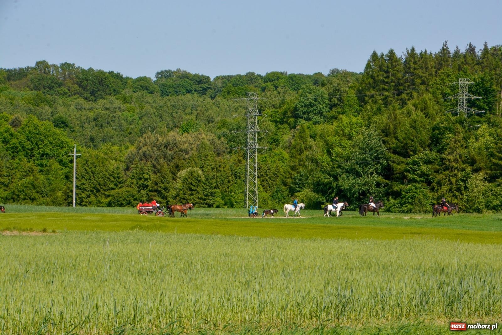 Zdjęcie w galerii na portalu naszraciborz.pl: Brzeska procesja w intencji rolników i ogrodników [FOTO i WIDEO] wiadomości z regionu