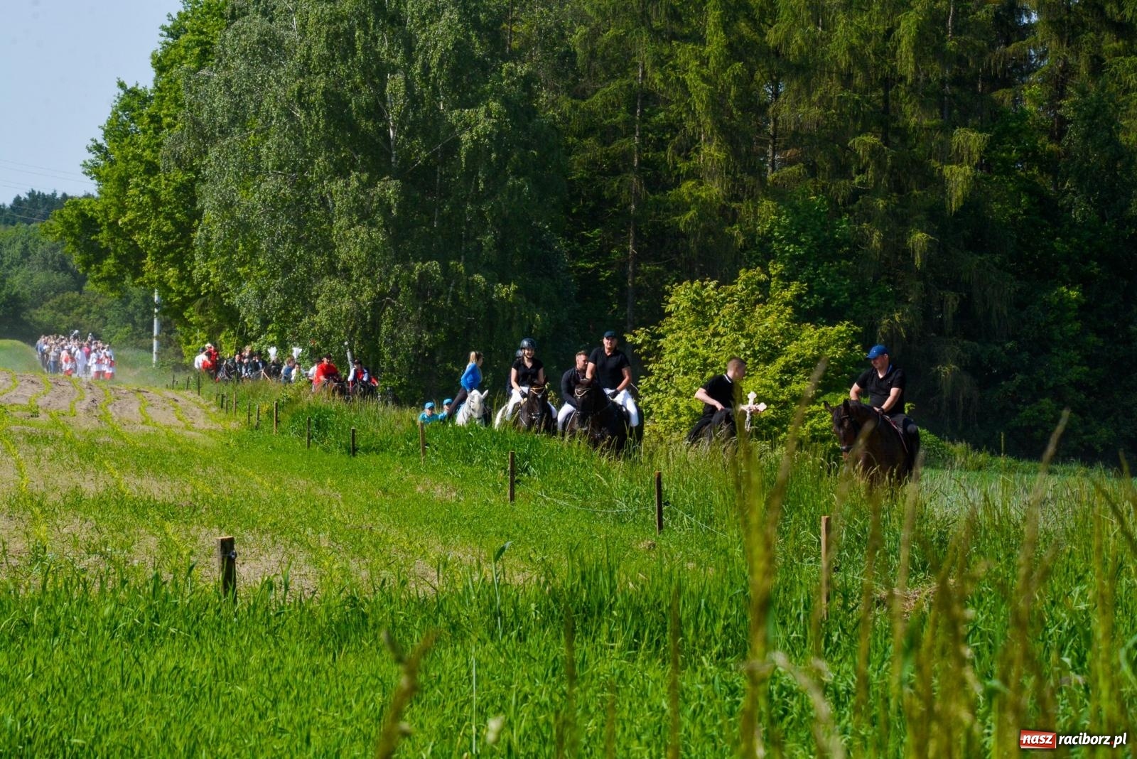 Zdjęcie w galerii na portalu naszraciborz.pl: Brzeska procesja w intencji rolników i ogrodników [FOTO i WIDEO] wiadomości z regionu