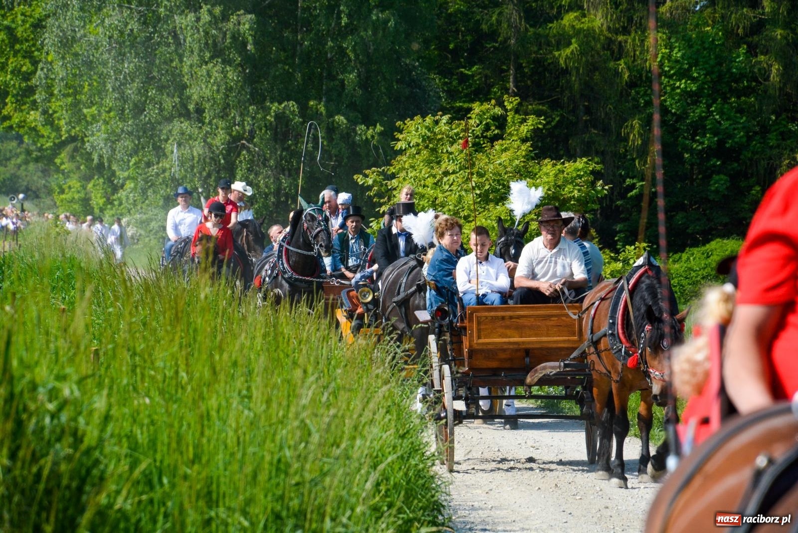 Zdjęcie w galerii na portalu naszraciborz.pl: Brzeska procesja w intencji rolników i ogrodników [FOTO i WIDEO] wiadomości z regionu