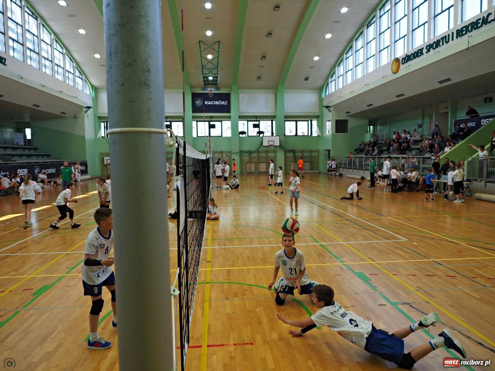 Zdjęcie w galerii na portalu naszraciborz.pl: Gramy dla mamy - młodzi siatkarze rywalizowali w arenie przy Łąkowej [FOTO i WIDEO] wiadomości z regionu