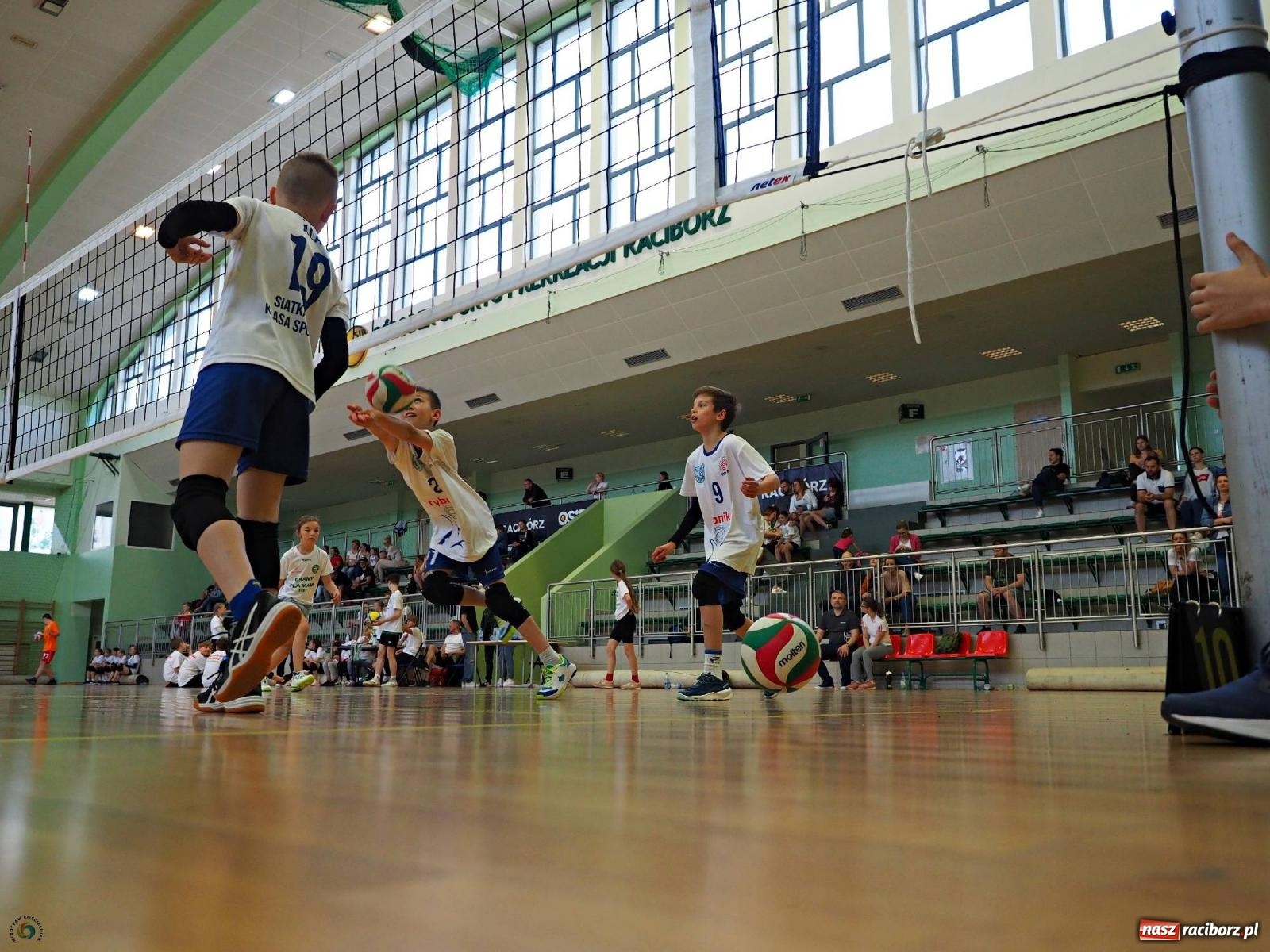 Zdjęcie w galerii na portalu naszraciborz.pl: Gramy dla mamy - młodzi siatkarze rywalizowali w arenie przy Łąkowej [FOTO i WIDEO] wiadomości z regionu