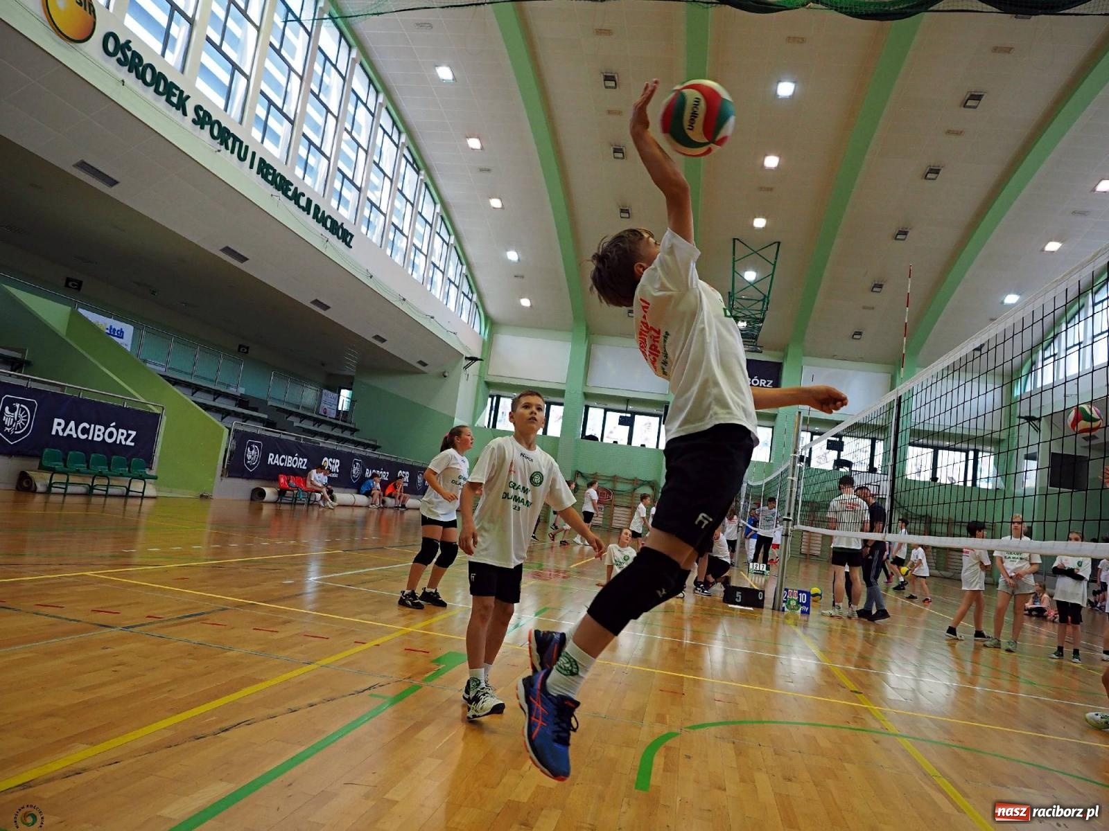 Zdjęcie w galerii na portalu naszraciborz.pl: Gramy dla mamy - młodzi siatkarze rywalizowali w arenie przy Łąkowej [FOTO i WIDEO] wiadomości z regionu