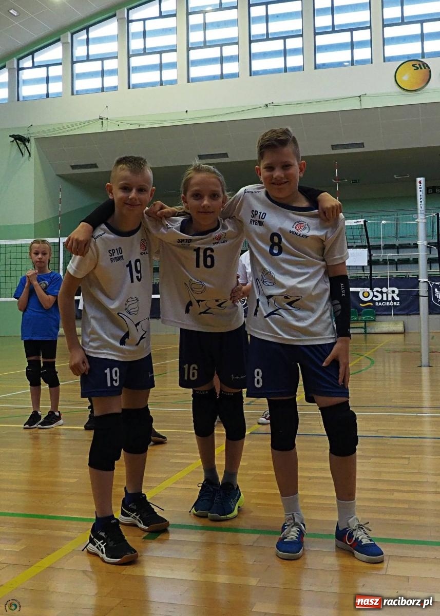 Zdjęcie w galerii na portalu naszraciborz.pl: Gramy dla mamy - młodzi siatkarze rywalizowali w arenie przy Łąkowej [FOTO i WIDEO] wiadomości z regionu