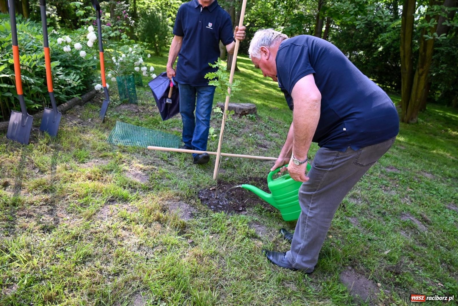 Zdjęcie w galerii na portalu naszraciborz.pl: Dęby, muzyka i partnerstwo. W Krzyżanowicach koncertowali filharmonicy z Katowic [FOTO i WIDEO] wiadomości z regionu