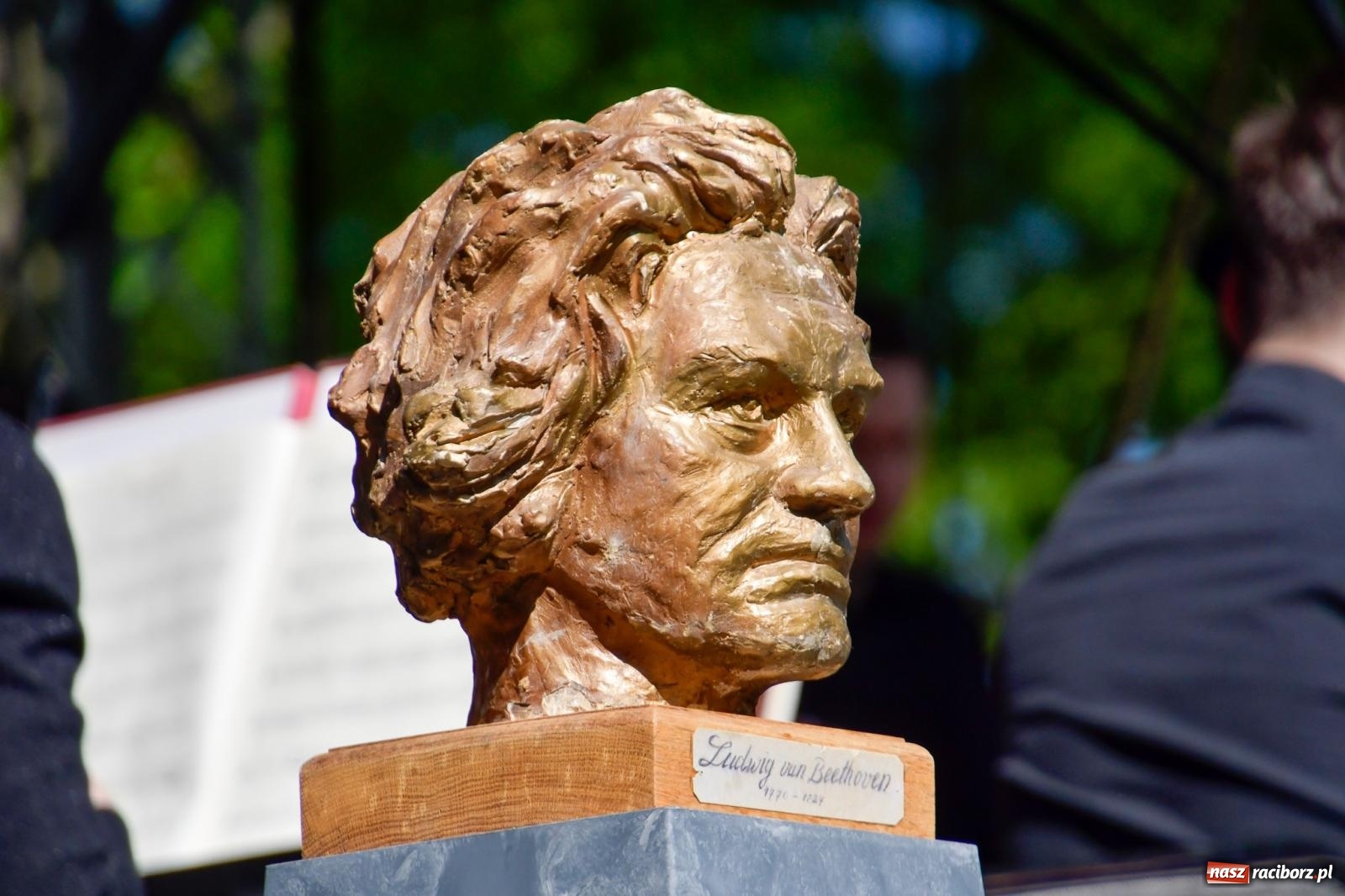 Zdjęcie w galerii na portalu naszraciborz.pl: Dęby, muzyka i partnerstwo. W Krzyżanowicach koncertowali filharmonicy z Katowic [FOTO i WIDEO] wiadomości z regionu