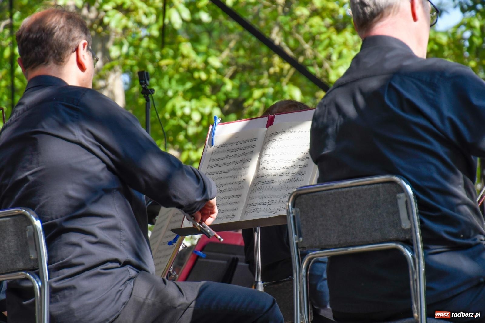 Zdjęcie w galerii na portalu naszraciborz.pl: Dęby, muzyka i partnerstwo. W Krzyżanowicach koncertowali filharmonicy z Katowic [FOTO i WIDEO] wiadomości z regionu