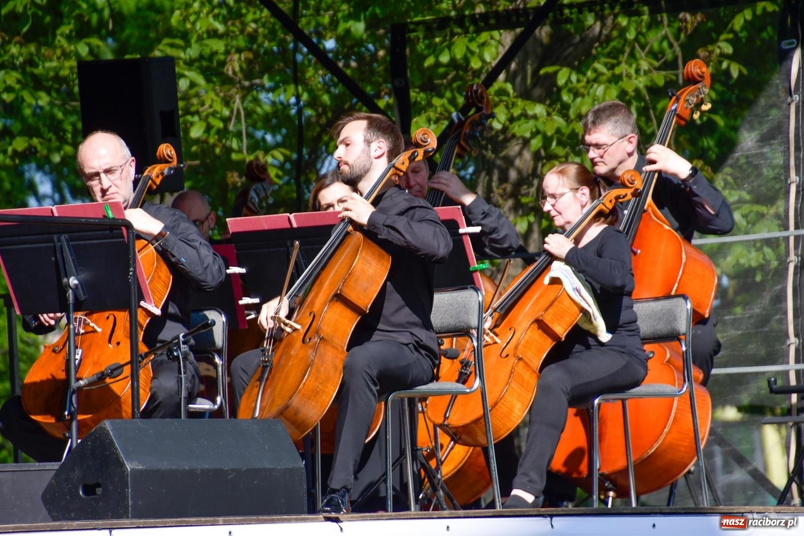 Zdjęcie w galerii na portalu naszraciborz.pl: Dęby, muzyka i partnerstwo. W Krzyżanowicach koncertowali filharmonicy z Katowic [FOTO i WIDEO] wiadomości z regionu
