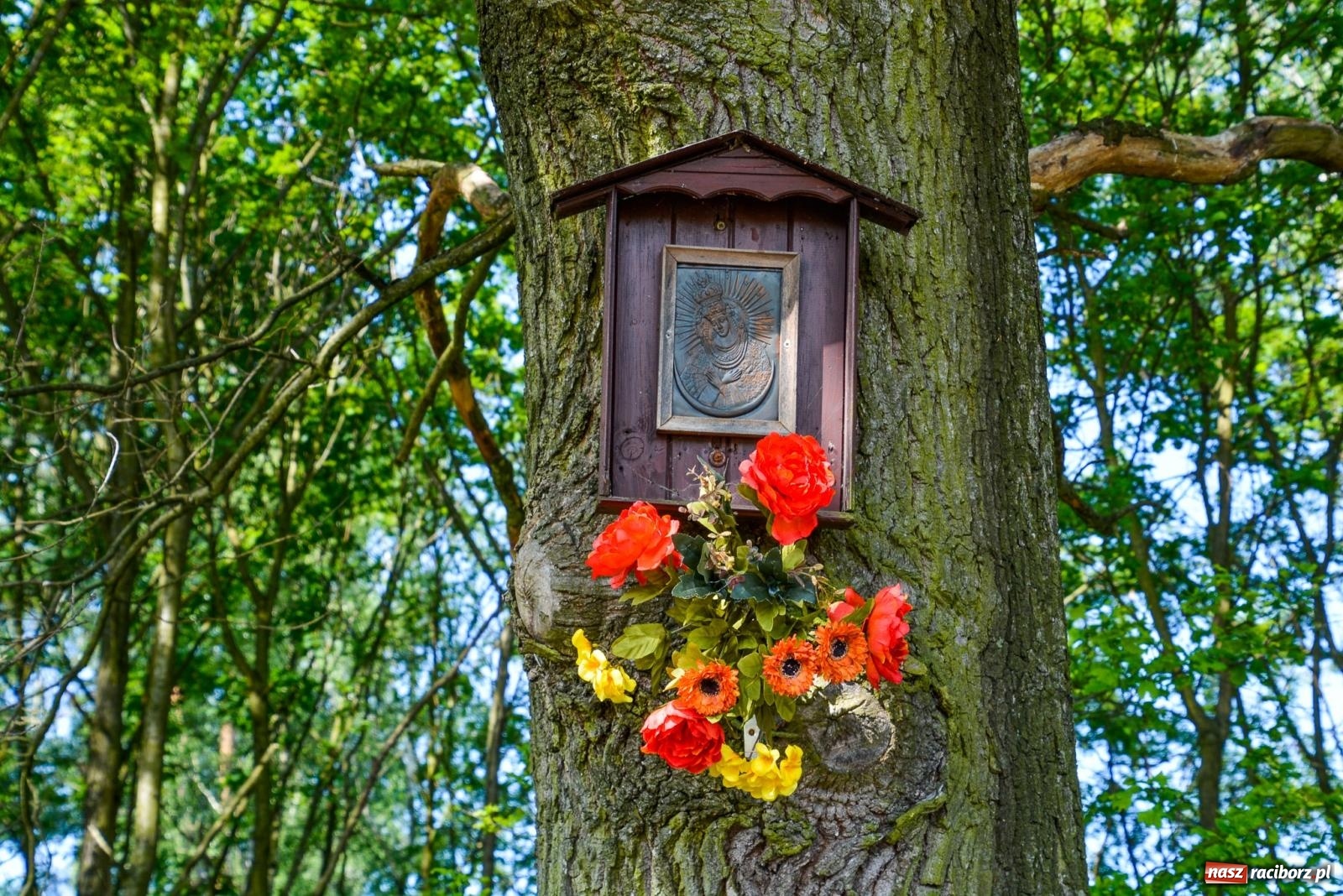 Zdjęcie w galerii na portalu naszraciborz.pl: Polsko-czeskie pielgrzymowanie na tworkowski Urbanek [FOTO i WIDEO] wiadomości z regionu