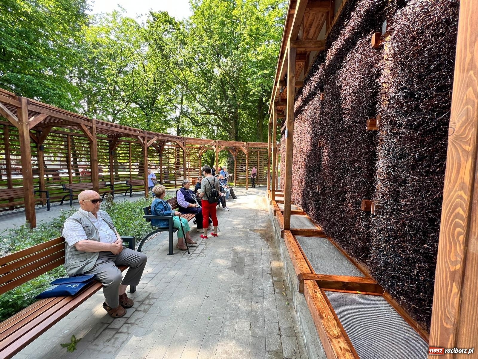 Zdjęcie w galerii na portalu naszraciborz.pl: Dziś otwarto raciborską tężnię. Kosztowała prawie 2 mln zł [FOTO i WIDEO] wiadomości z regionu