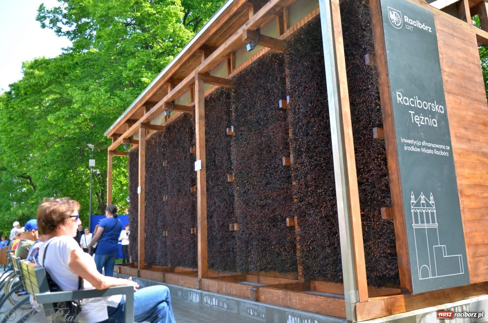 Zdjęcie w galerii na portalu naszraciborz.pl: Dziś otwarto raciborską tężnię. Kosztowała prawie 2 mln zł [FOTO i WIDEO] wiadomości z regionu