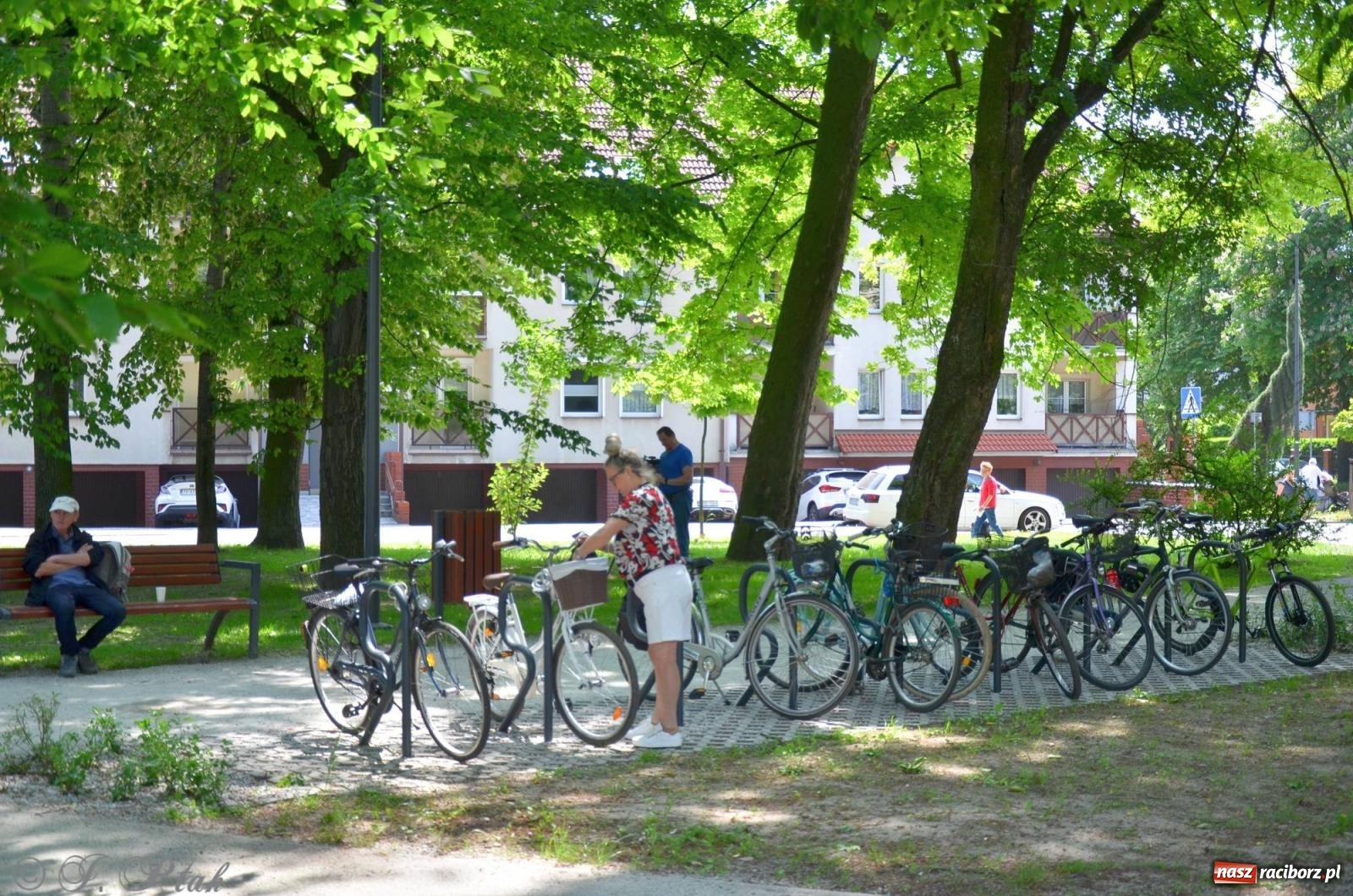 Zdjęcie w galerii na portalu naszraciborz.pl: Dziś otwarto raciborską tężnię. Kosztowała prawie 2 mln zł [FOTO i WIDEO] wiadomości z regionu