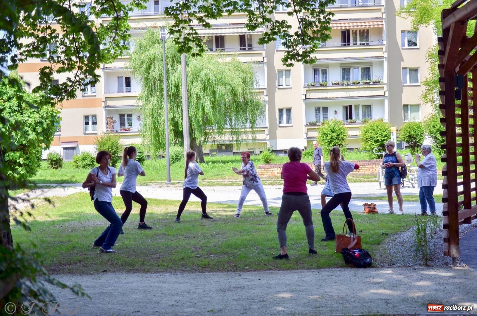 Zdjęcie w galerii na portalu naszraciborz.pl: Dziś otwarto raciborską tężnię. Kosztowała prawie 2 mln zł [FOTO i WIDEO] wiadomości z regionu