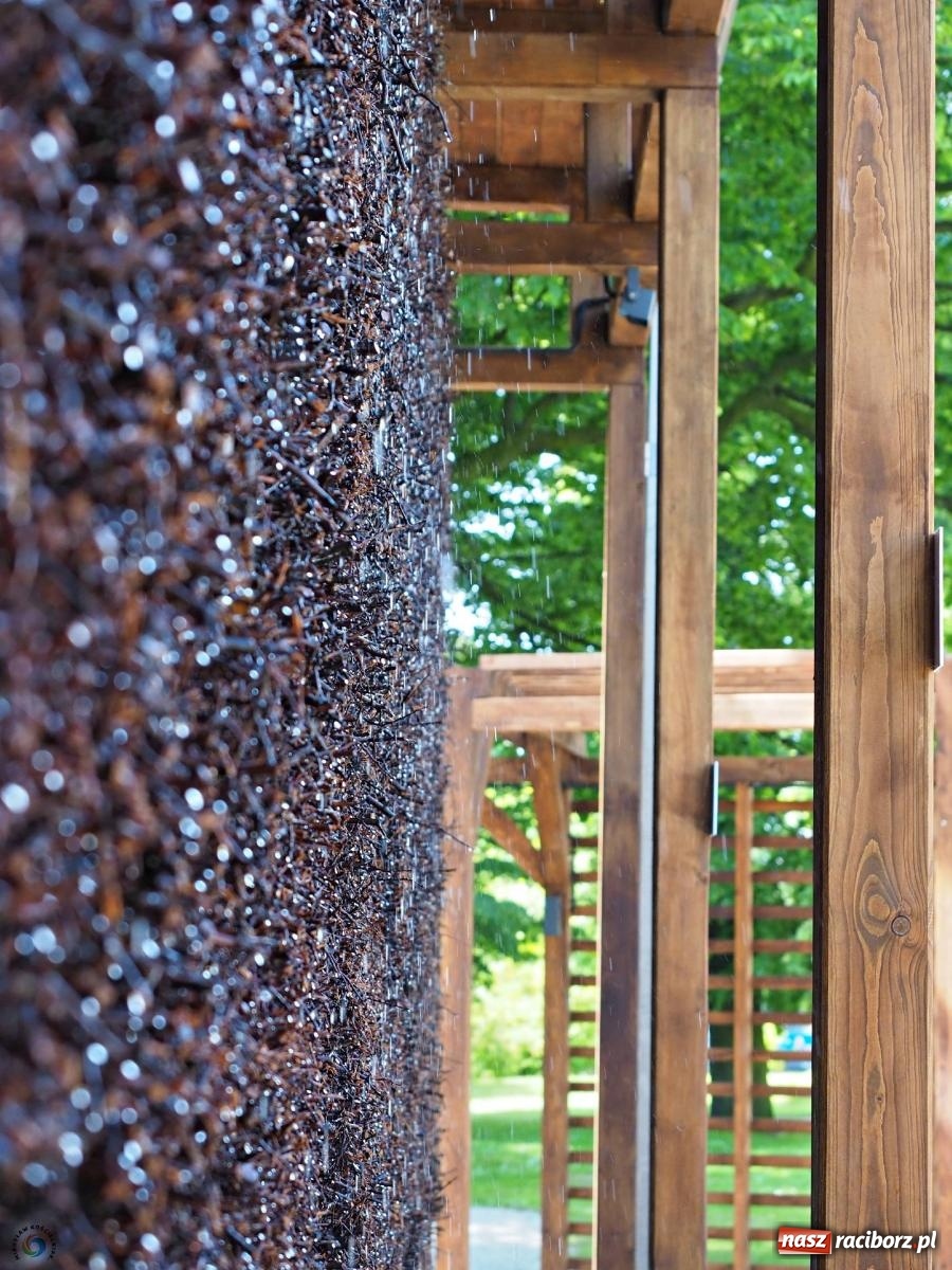 Zdjęcie w galerii na portalu naszraciborz.pl: Dziś otwarto raciborską tężnię. Kosztowała prawie 2 mln zł [FOTO i WIDEO] wiadomości z regionu